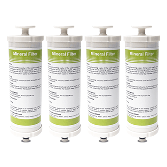 (4) Internal Mineral Replacement Filter